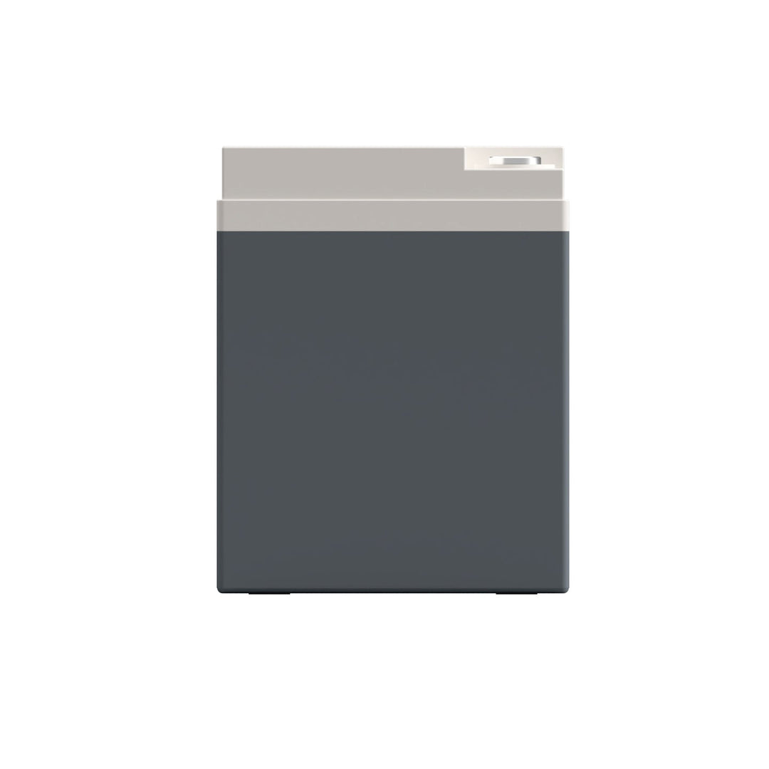 XS Power PS975L 12V AGM Car Audio Battery